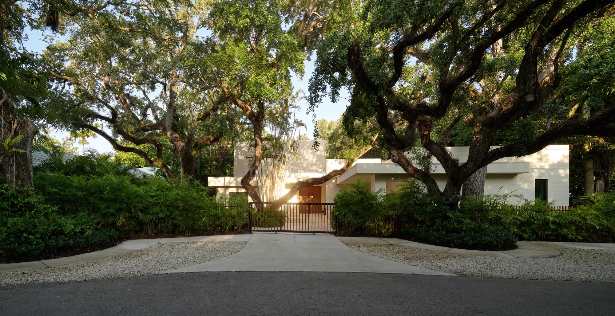 Gated driveway entrance to the Emathla residence in Miami, framed by mature oak trees with the home's white stucco facade visible through the canopy at golden hour