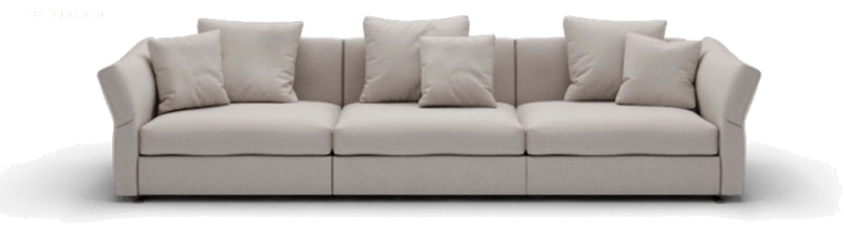 Flexform Sofa
